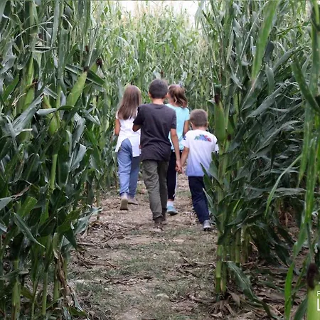 La Selce ベッド・アンド・ブレックファスト