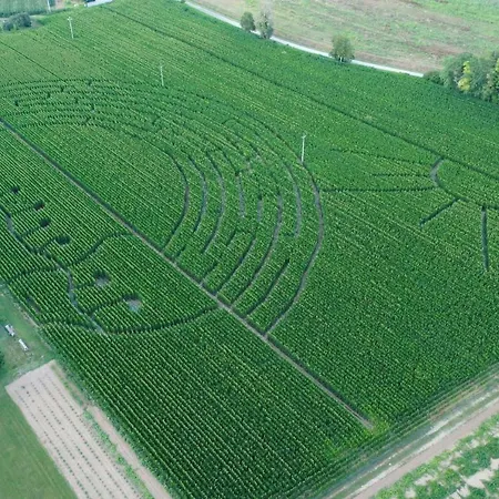 La Selce ベッド・アンド・ブレックファスト 3*