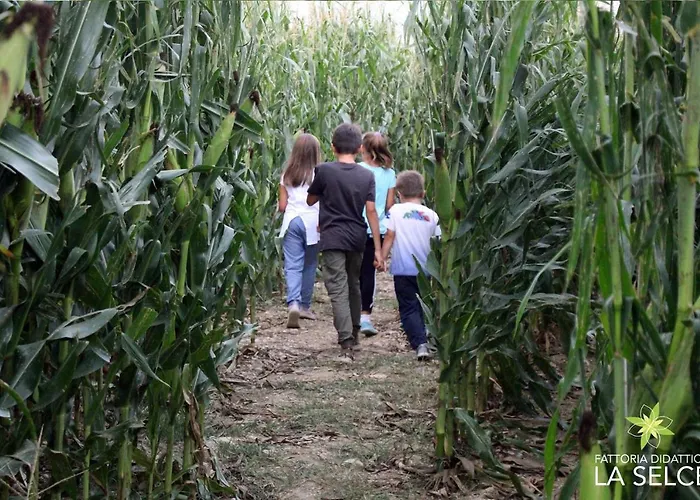 La Selce Bed & Breakfast