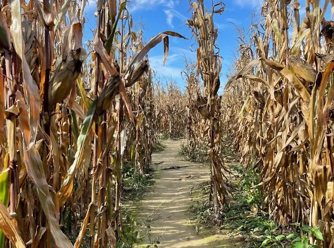 La Selce Bed & Breakfast Bagnario Arsa