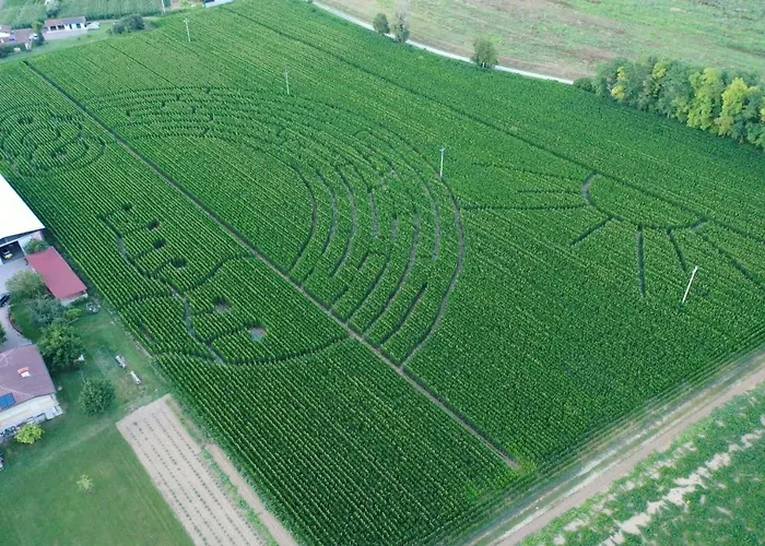 La Selce Bed & Breakfast 3*