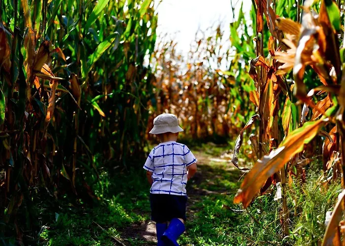 Bed & Breakfast La Selce 3*