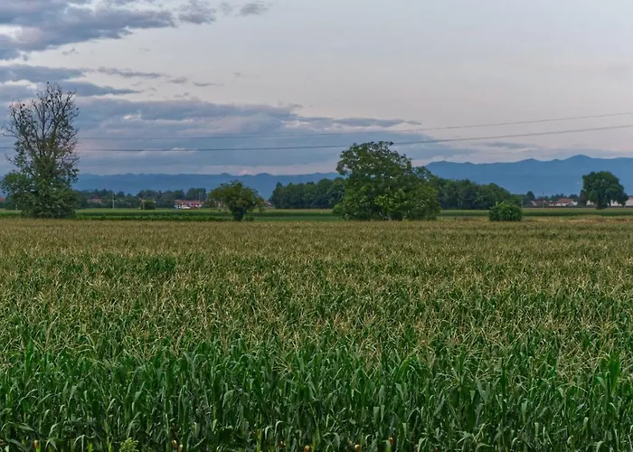 Bed & Breakfast La Selce 3*